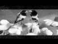 Eternal Rafi Lata Duet PYAR KA BANDHAN TUTE NA Shola Aur Shabnam ETERNAL ROMANTIC DUET 1961