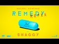 Remedy Refix - Machel Montano ft. Shaggy | Soca 2015 | Machel Montano Music