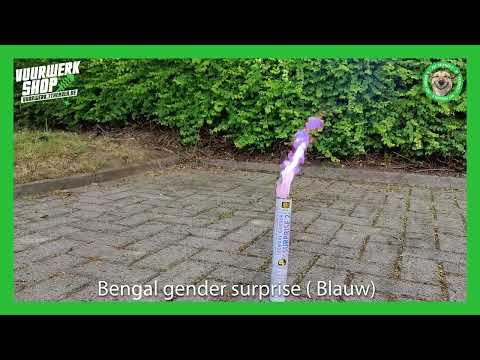 bengal gender surprise blauw