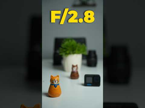 What is Depth of Field?