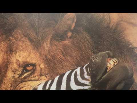 Kaiju ft. Flowdan - Hunter (2013)