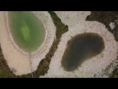 Weiheranlage Toggessenmatten in Ettingen (BL)