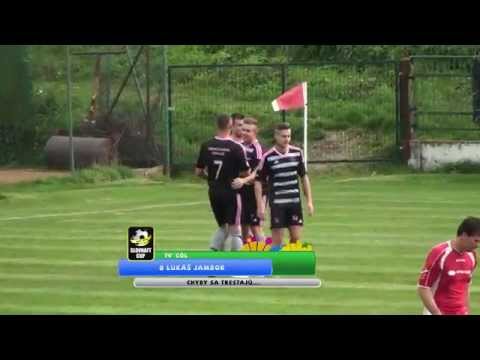 MSK Slovan Trencianske Teplice - MFK Nova Dubnica 2:0