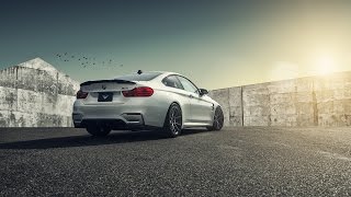 Nytrix Ft DEV - Electric Walk (Ookay Remix) [FREE DOWNLOAD]