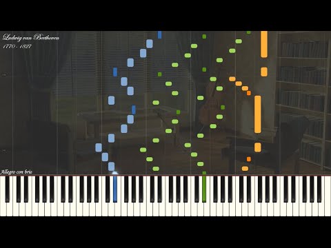 Ludwig van Beethoven - Violin Sonata 7 in C Minor Op 30 No 2 | Piano Synthesia | Library of Music