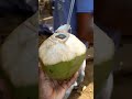 Do you know the benefits of coconut water?|Getting some madafu #shortsafrica #shorts
