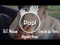 Papi - DJ Nelson, Jose de las Heras, Alejandro Armes (Letra)