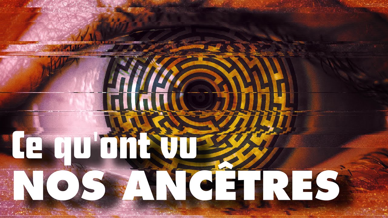 Ce qu'ont vu nos ancêtres, Voyage sur une ligne de vie