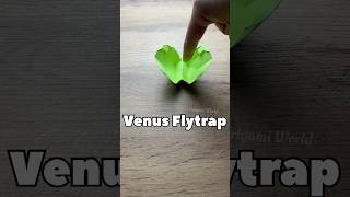 EASY ORIGAMI VENUS FLYTRAP TUTORIAL | HOW TO MAKE ORIGAMI VENUS FLYTRAP PLANT FROM PAPER EASY CRAFT