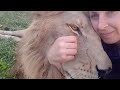 Woman Shares Adorable Bond With Lion