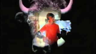 Momus: Windmills of Your Mind