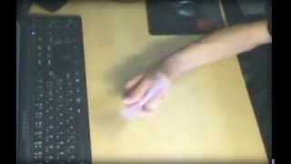 百華繚乱 - Hyakka Ryouran