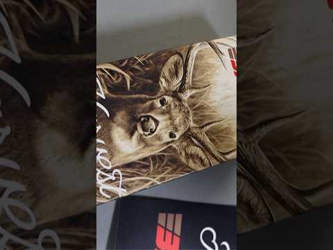 Long Shot, or Not - Barnes Bullets Long Range Ammo is Ready: Guns \u0026 Gear| S9 E5