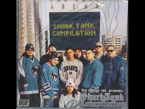 GATO MAS LOCO- STEVE YOUNGS AND JOE MONTANAS