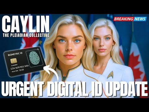 Attention All Ground Crew - The Pleiadians | Caylin