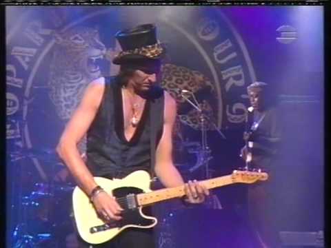 Wolfgang Niedecken & Leopardefellband - Wie ne Stein - Live 1995