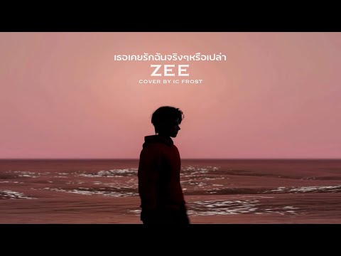 เธอเคยรักฉันจริงๆหรือเปล่า - ZEE [COVER BY  Fros]