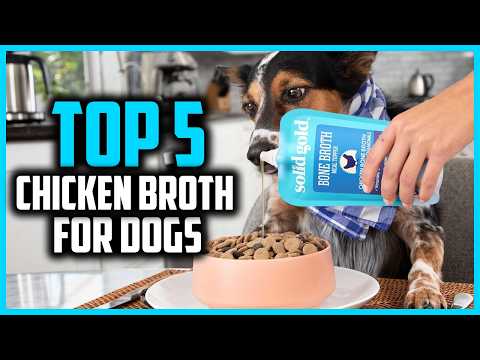✅ The Best Chicken Broth for Dogs 2026