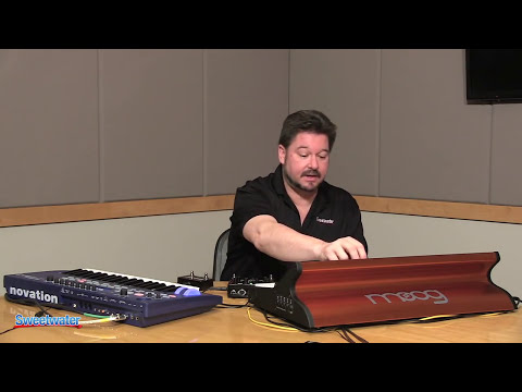 Pigtronix Echolution 2 Deluxe Delay Pedal — Daniel Fisher