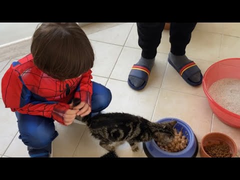 Kedimiz çok hasta.Ona yaş mama aldık.Fatih Selim kedinin kumunu ve mamasını hazırladı