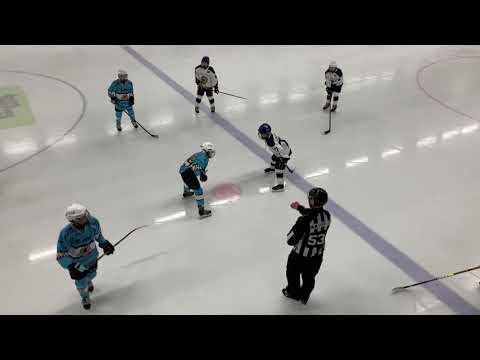 NHT PELICANS-SVEALAND