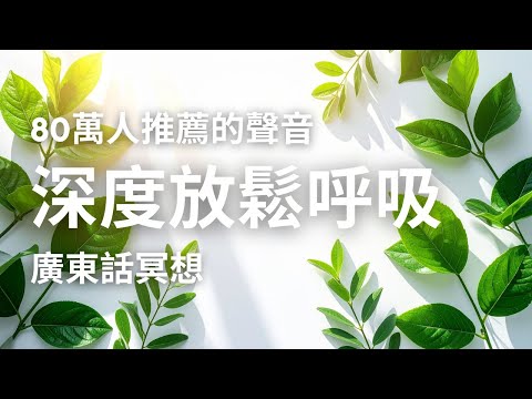 【深度放鬆】正念呼吸練習：釋放壓力與焦慮 ｜ 80萬人實證 ｜#廣東話冥想 #呼吸練習 #深度放鬆