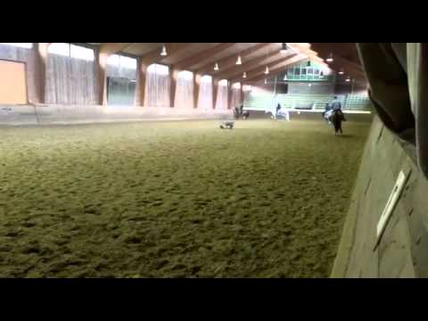 Lissaro van der Helle Trab