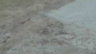 mclusky - hymn for new cars