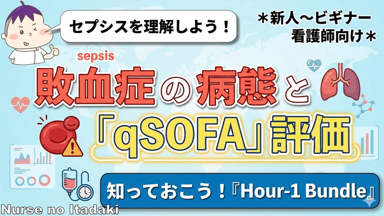 【敗血症のポイントを解説！】セプシスの病態､qSOFAでの評価､治療と看護について理解しよう！