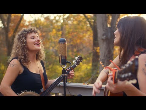 Through The Night - The Montvales