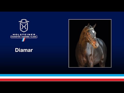 Diamar v. Diarado-Con Capitol / 2017