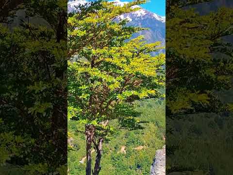 Piedra del Águila - Futaleufú... Patagonia #surdechile🇨🇱