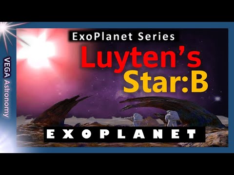 ✨ Is Luyten's Star B the best hope for LIFE? Hycean Planets and Procyon!!
