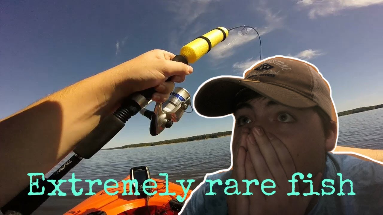 Extremely Rare Fish Catch (new PB)
