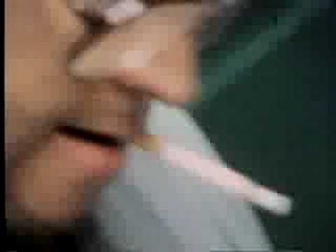 Rob Martin Reel, 2008