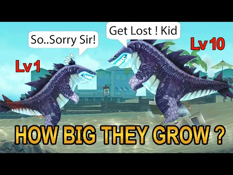 ALL SHARKS SIZE COMPARISON LEVEL 1 vs LEVEL 10 [Chapter 1] | Hungry Shark Evolution - Sharkjira