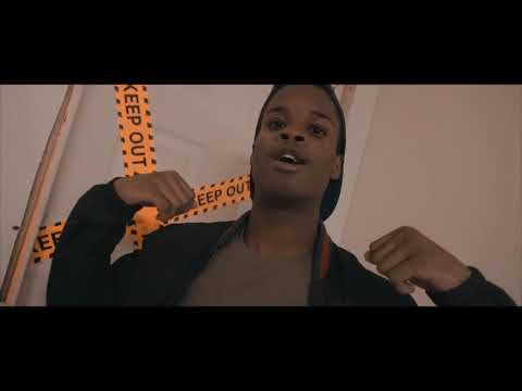 Bandup Ty - Shark in the water