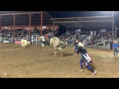 60172 Albert,  Toby Collins, Santa Fe 2021