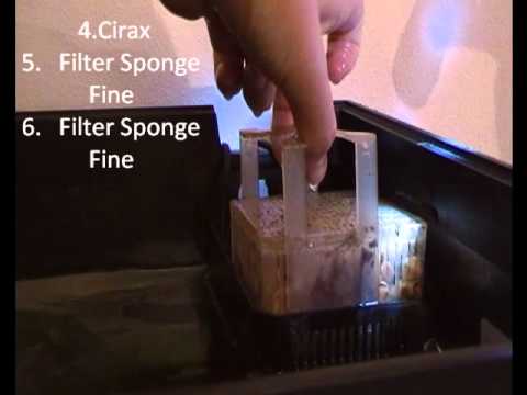 Watch Video on YouTube