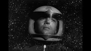 The Babe Rainbow - Planet Junior