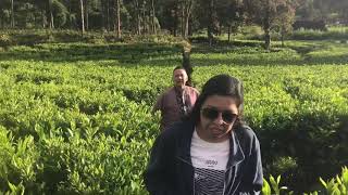 preview picture of video 'Ciwalini Trip February 2019 @cijago_farm'