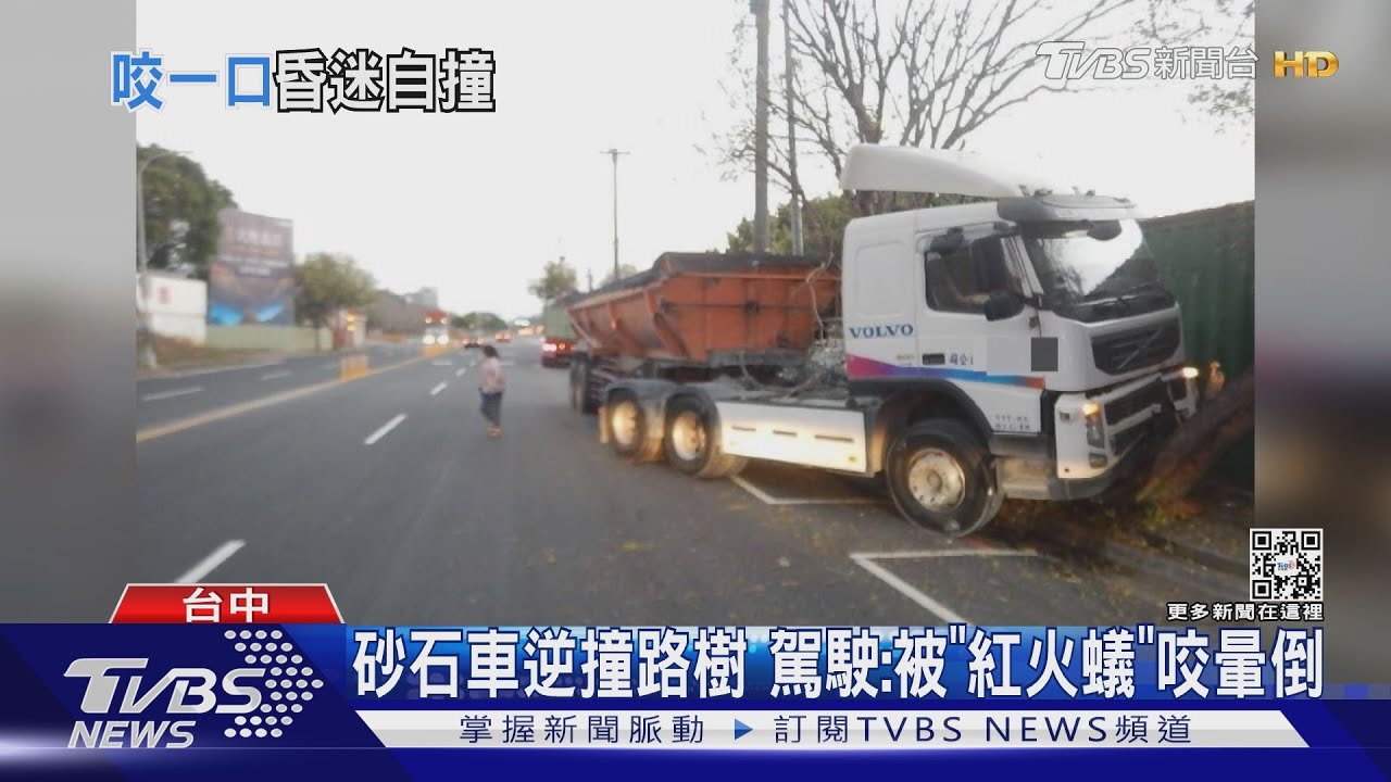 砂石車逆撞路樹 駕駛:被「紅火蟻」咬暈倒