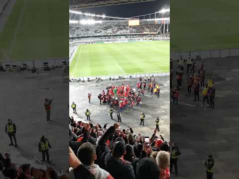 Gdybym jeszcze raz miał urodzić się... Kibice i piłkarze po meczu Litwa - Polska 0:2 #polska #kibice