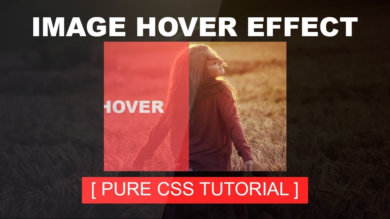 CSS Image Overlay Hover Effects With Html And CSS3 Divscode Is 