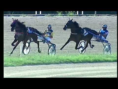 Napoli Trotto 09/09/2022 - 4ª corsa