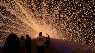 preview picture of video 'なばなの里　2012-13　18/30 Nabana No Sato Winter Illumination　ウィンターイルミネーション'