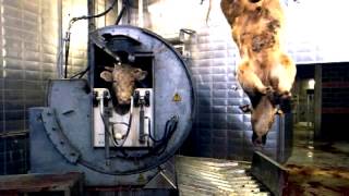 Swans   Another You live z9GA6J0AN 8