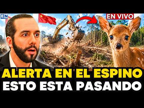 🚨#EnVivo - NOTICIERO EL SALVADOR - EDICIÓN ESTELAR 29 DE MAYO DE 2026 BOSQUE EL ESPINO EL SALVADOR