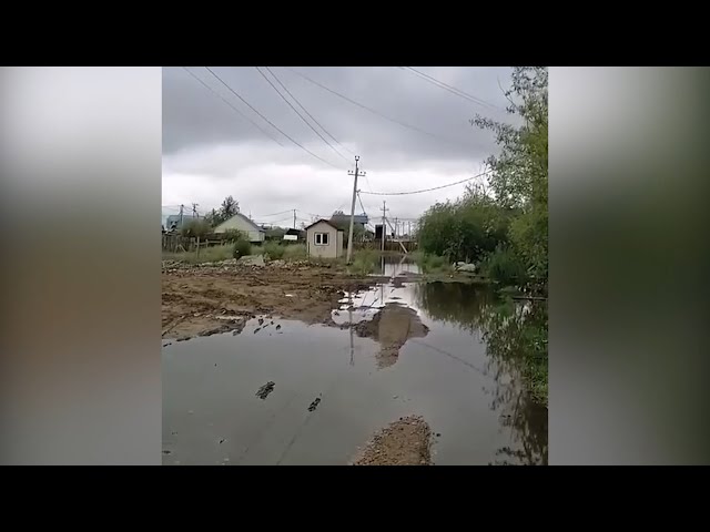 Жители Селиванихи беспокоятся за свой урожай