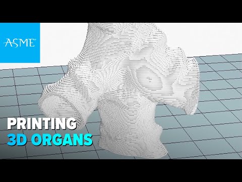 How do you print 3D organs and tissue? Watch this.